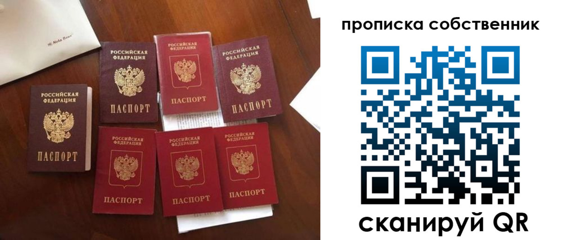 прописка для школы в Псковской области